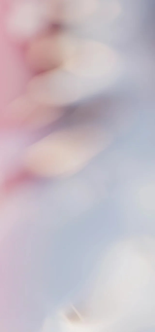 蝴蝶结亮晶晶壁纸,亮晶晶的壁纸