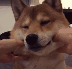 杭州报考二建需要什么条件,杭州二级建造师报考培训