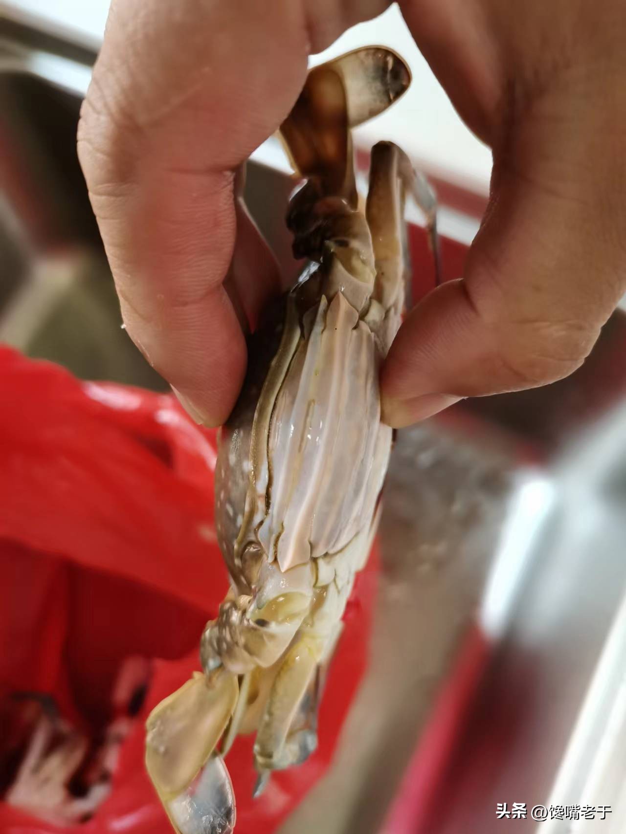 挑选螃蟹的秘籍大家学起来,买螃蟹的时候怎么挑肉和蟹黄多的