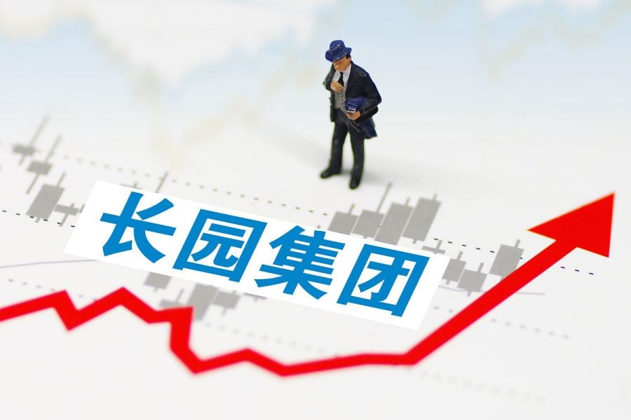 长园集团：稳健增长的领先企业，投资者的明智选择