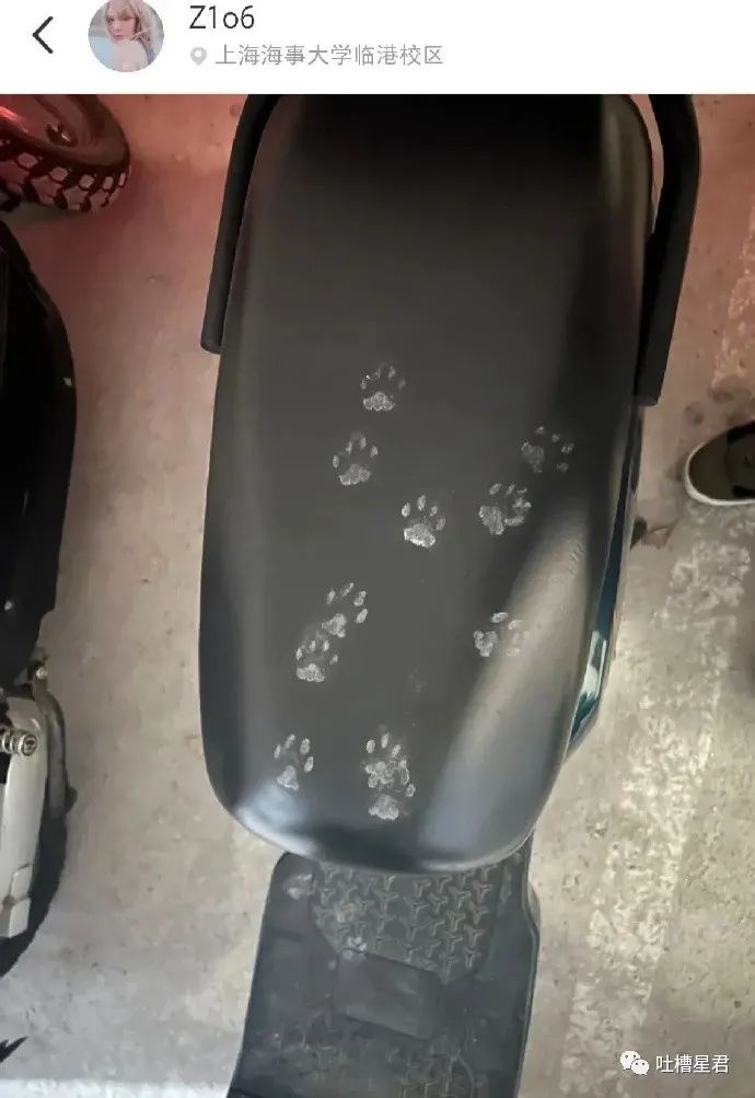 “3W4给女友买战损风上衣...”啊啊啊转身后当场裂开了!