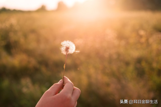 浜洪棿澶嫤涓嬭緢瀛愬埆鏉ヤ簡,浜洪棿澶嫤涓嬭緢瀛愪笉鍐嶆潵澹佺焊