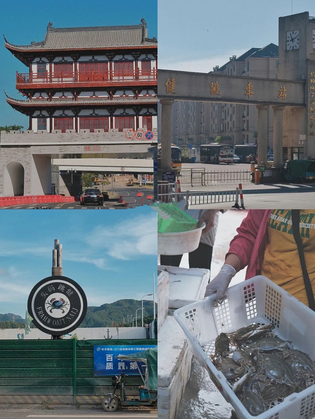 东海最后一处冷门小县城，藏了个海上仙子国，一口小海鲜封神