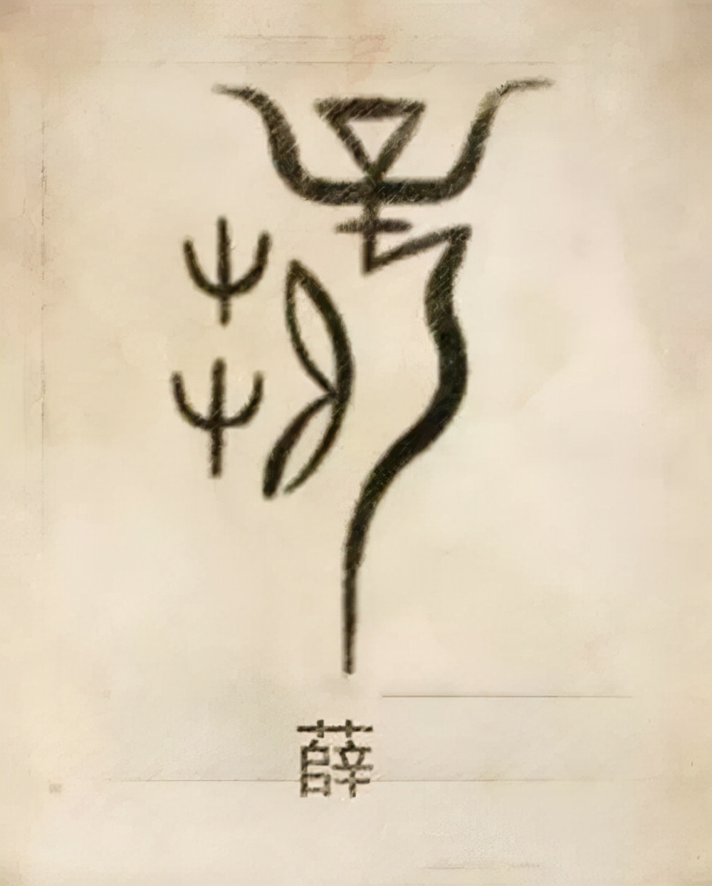 你的姓氏是什么,图腾看看你的姓氏是什么