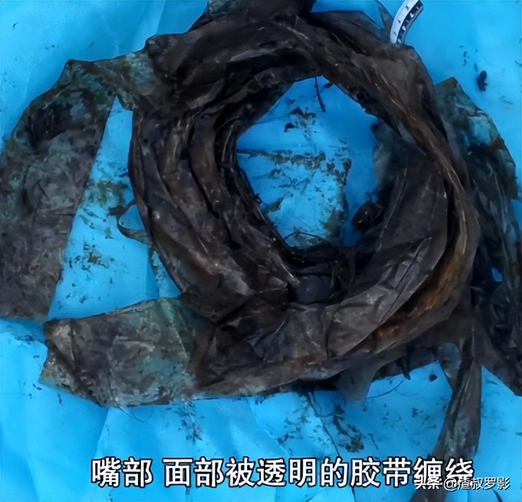 湖北母女被抛尸案,林场杀人案背后的故事