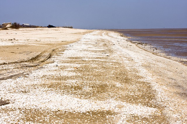 从古至今修仙真实记录,修仙历史上真的存在吗