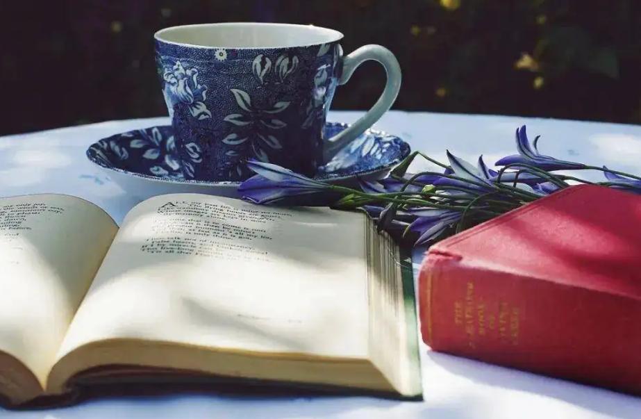 读怎样的书能提高读书效率,读书怎样读好一本书