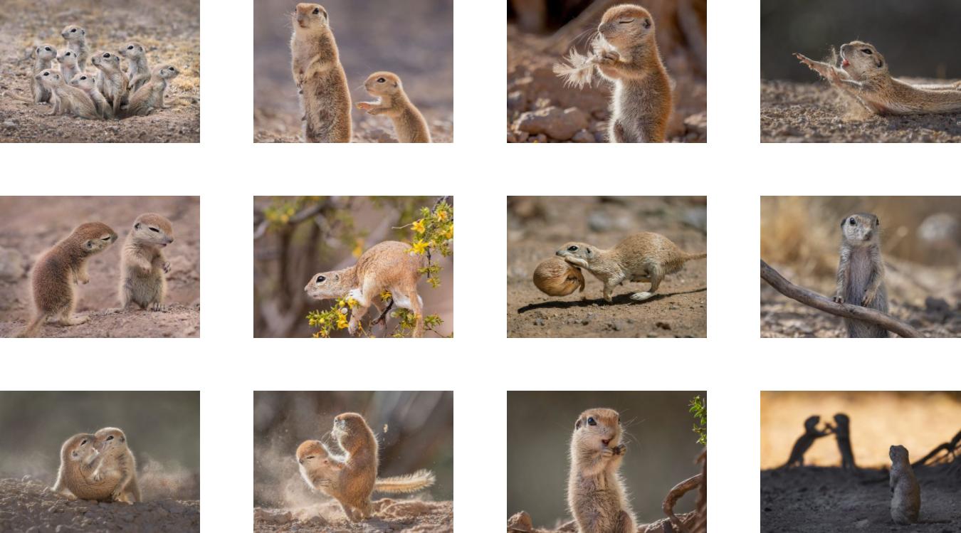 自然就是美,自然就是美歌曲