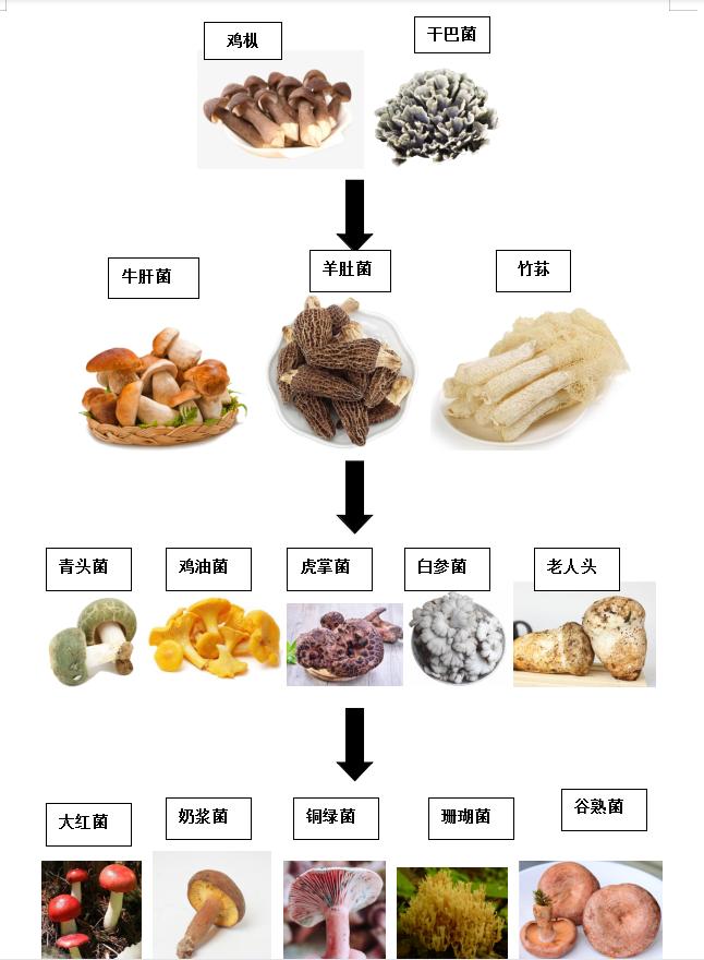 云南卫健委发毒蘑菇预警,云南卫健委发布毒蘑菇预警