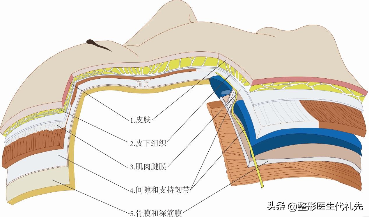 面部抗衰老的黄金三步（医生总结），40~50~60不同年龄阶段抗衰老