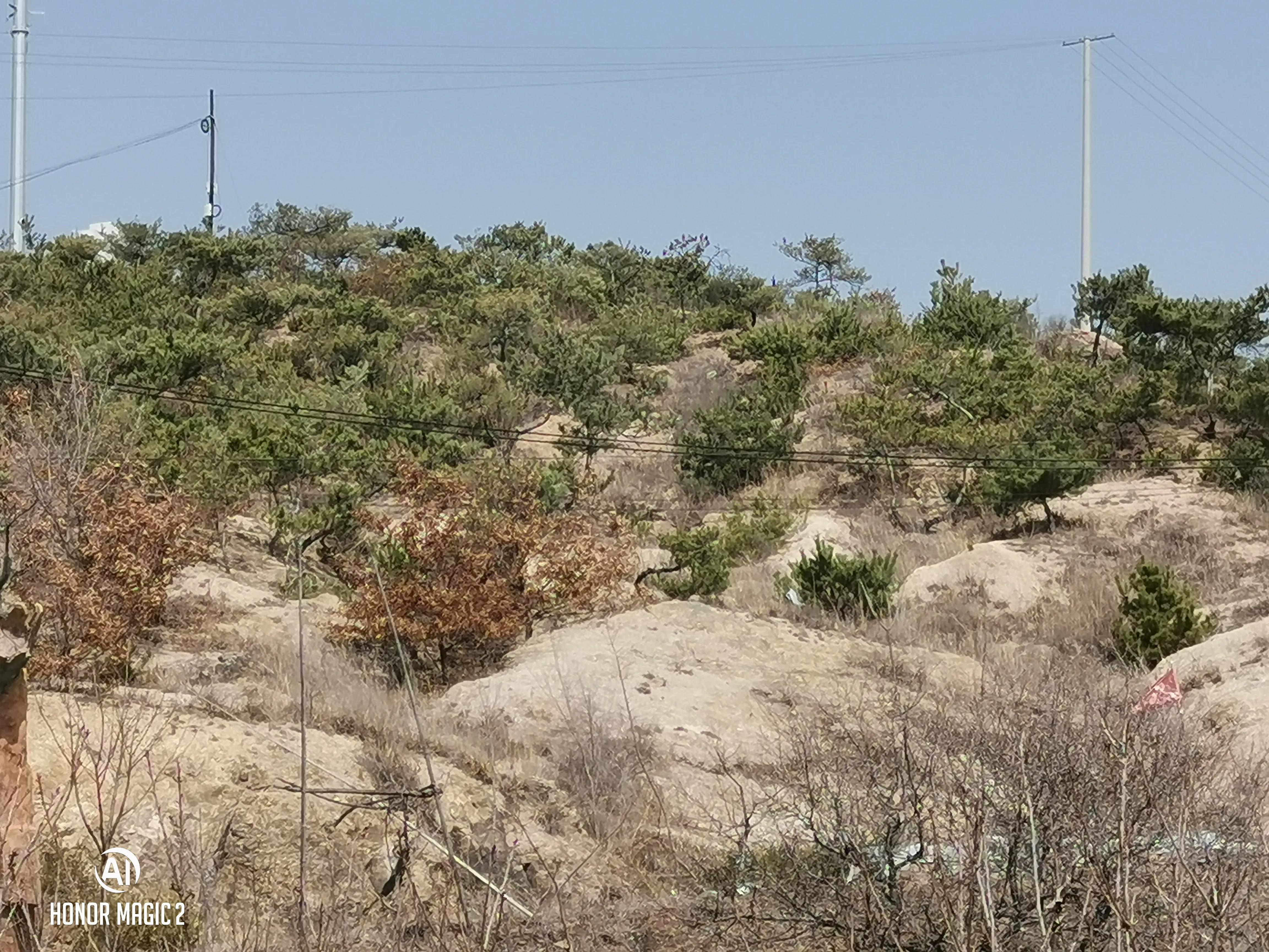 于七之乱死了多少人,于七结局