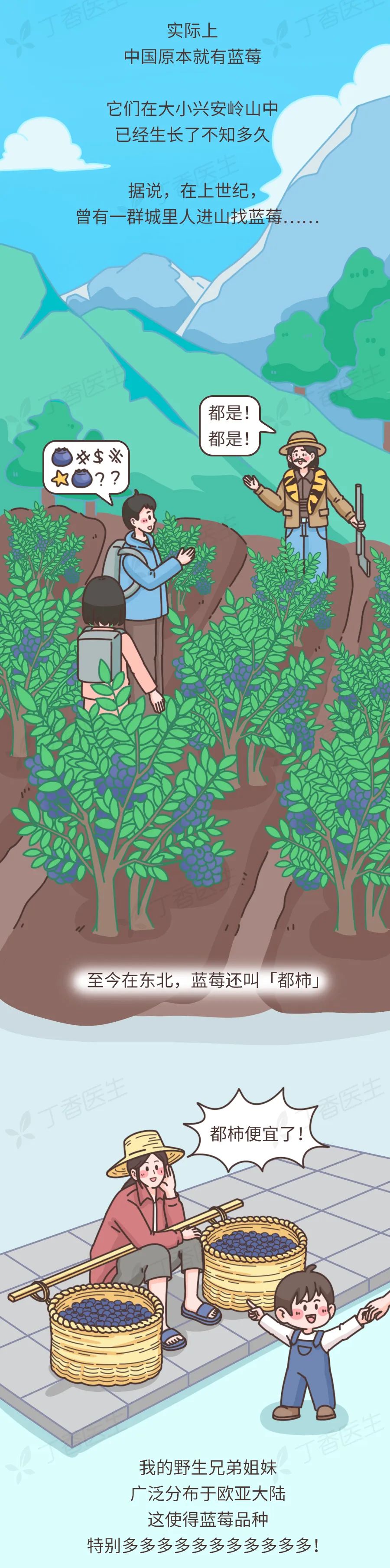 经常吃蓝莓干好处,常吃蓝莓的人身体会发生什么变化