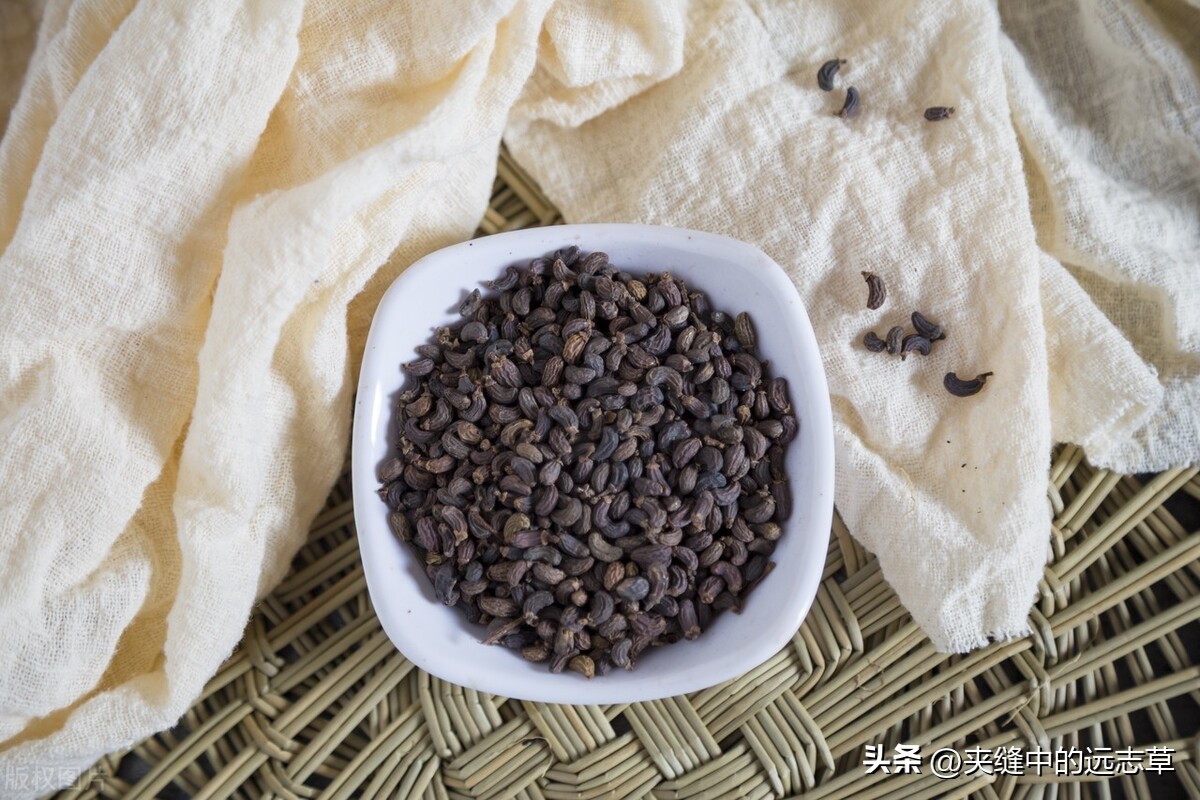 突然大面积脱发斑秃是什么病,脱发还有斑秃的迹象怎么办