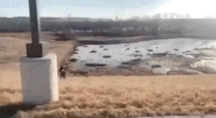 上课衣服穿反怎么办,上课忘记穿裤子该怎么办