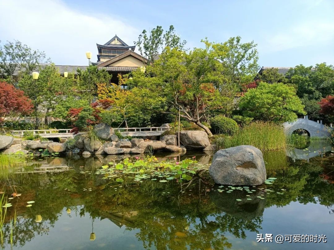 青岛旅行推荐的酒店宾馆,青岛有哪些值得推荐的酒店