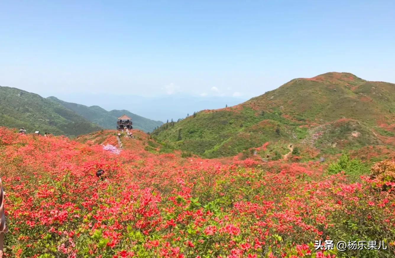 湖南长沙市一景,湖南长沙市风景点大全