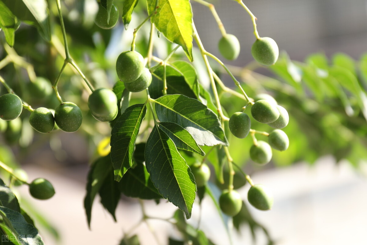 省钱日记范文,省钱日记视频大全