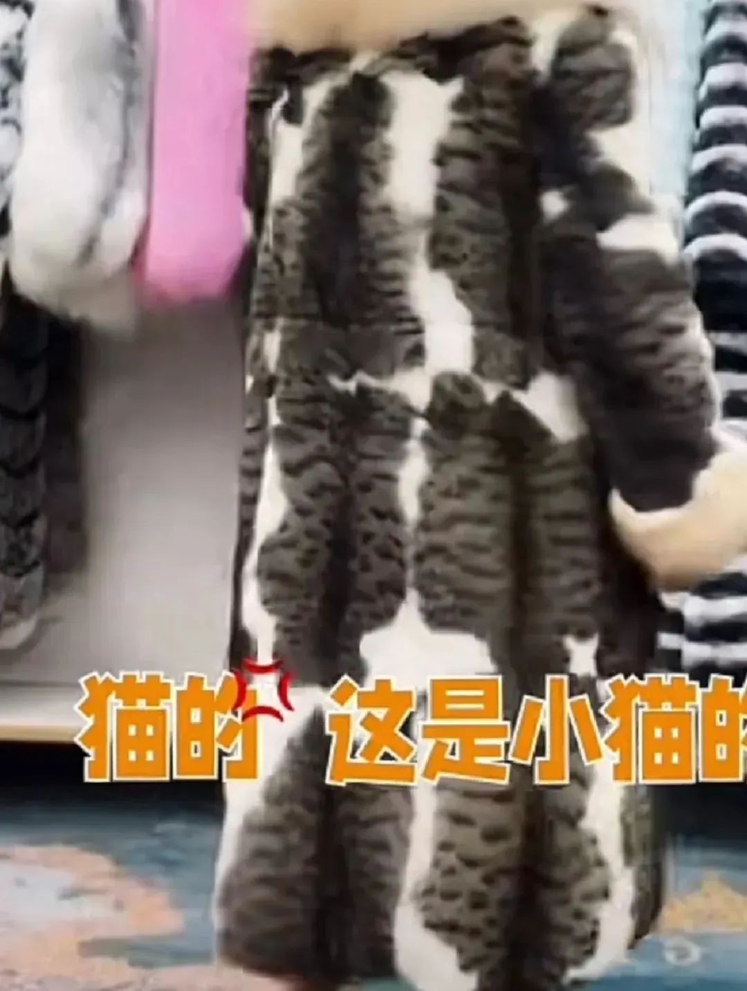 无良商家为了赚钱，竟剥猫皮做毛皮大衣…
