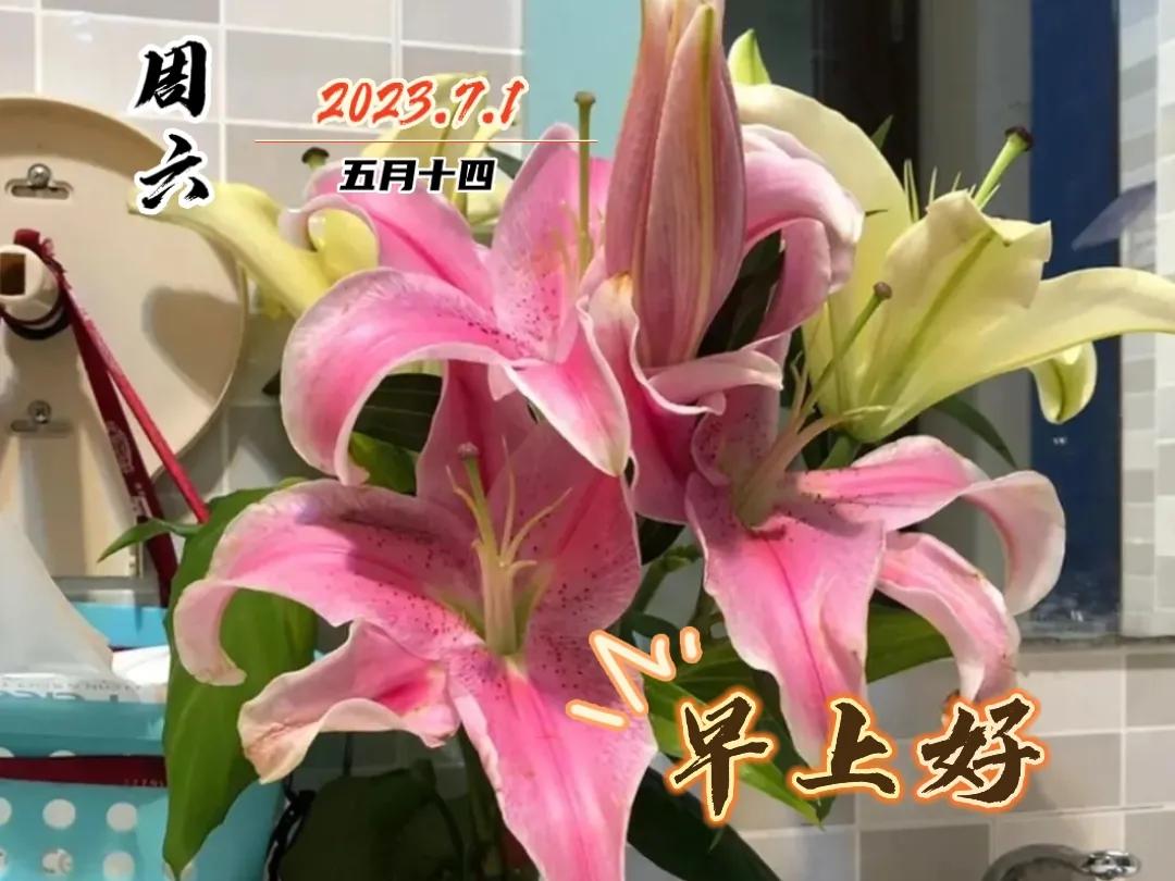 早安图片早上好问候祝福语,早上好图片带字早安问候语大全