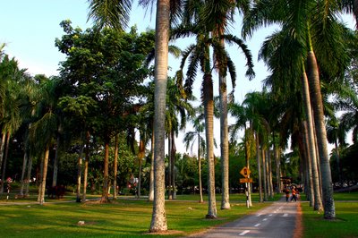 马来西亚怡保市新城,马来西亚怡保繁华区域