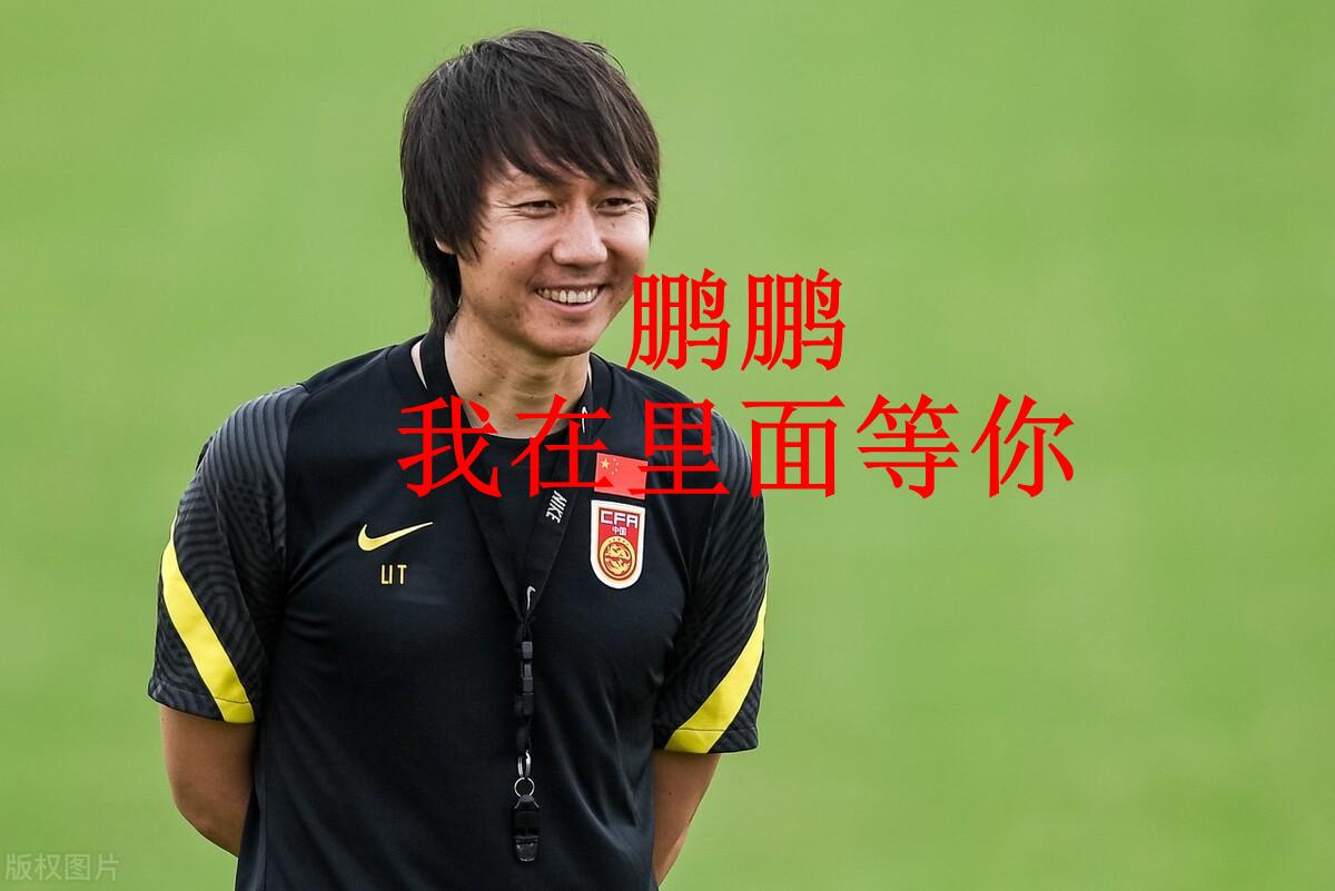 吴兴涵戴琳恶意飞铲,戴琳吴兴涵事件