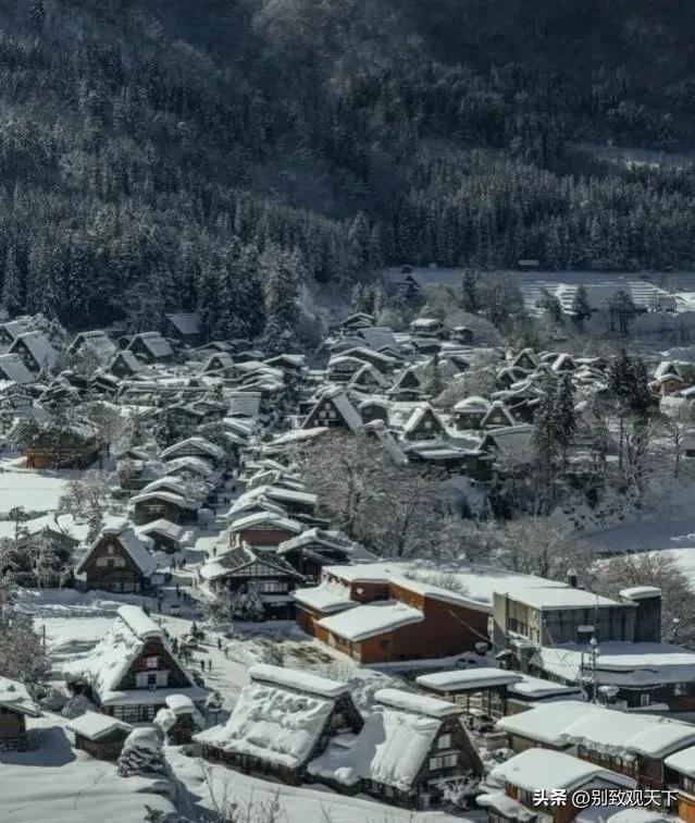 深度解析真实的日本,解读真实的日本人