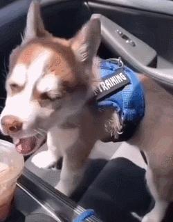 女厕的诡异之处,女厕所发现怪异男尸