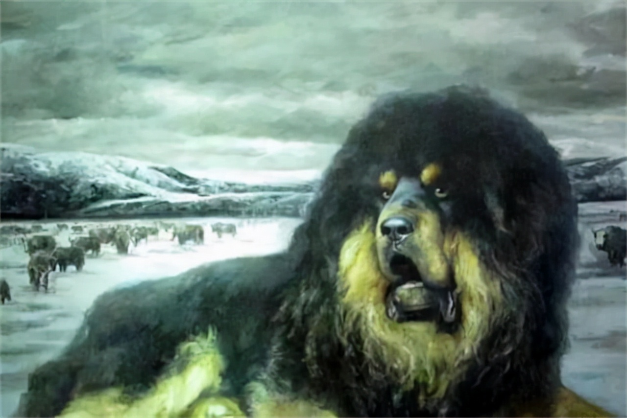 根雕藏獒500万,藏獒根雕