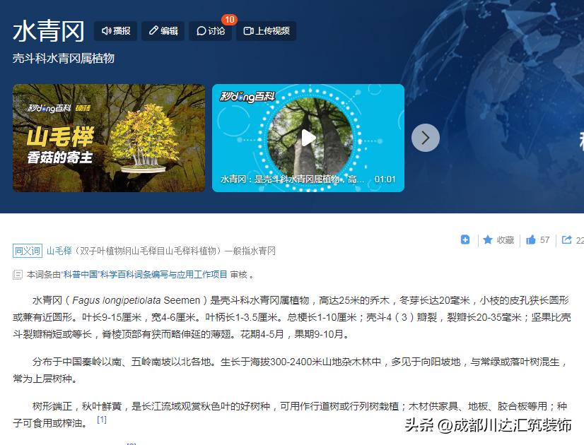 明式榉木家具如何断代,榉木家具为什么不值得购买