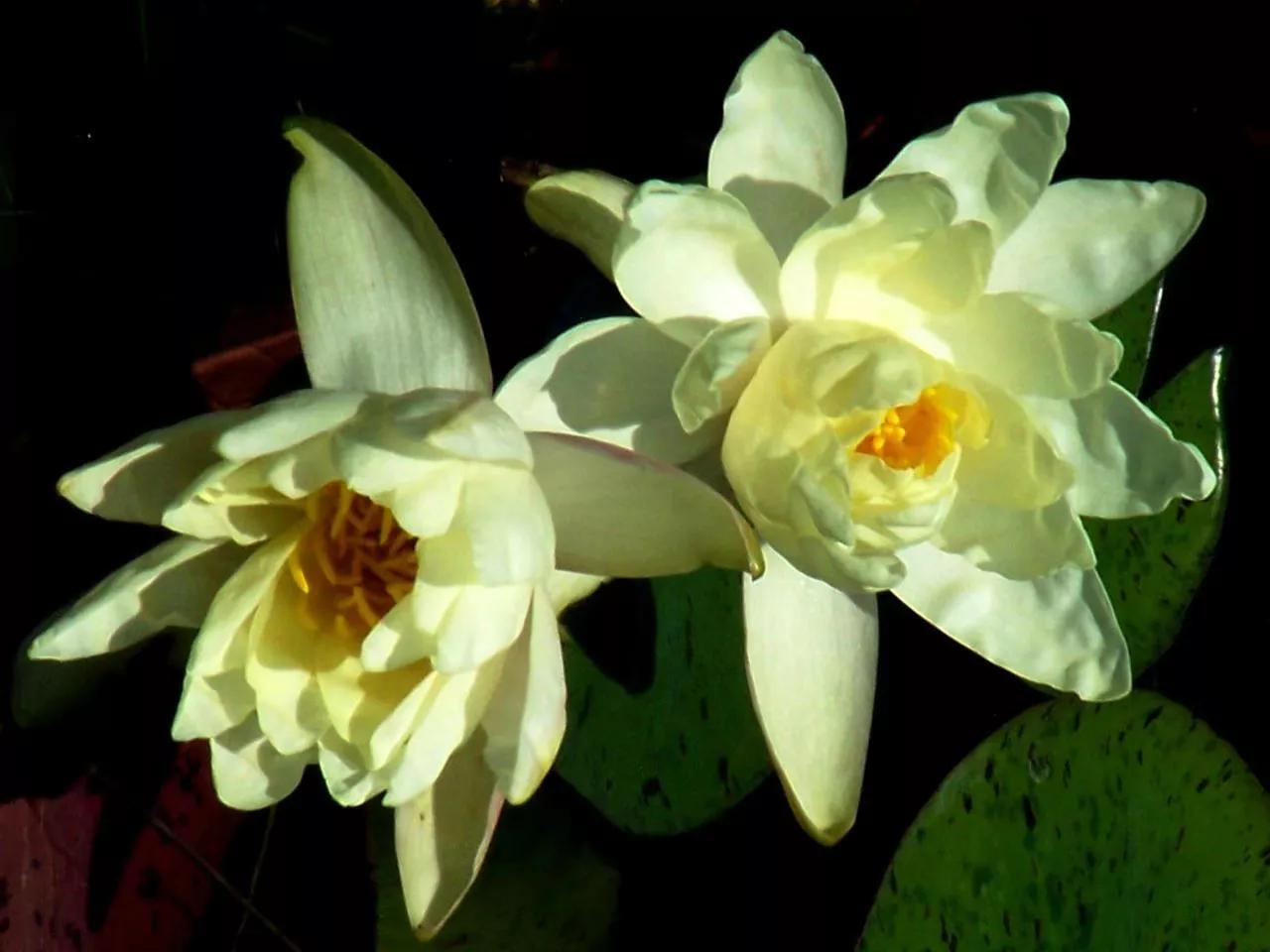 《妈妈与小孩-平行宇宙107》早恋？交往过密？