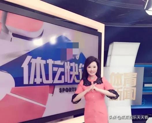 2016年世界杯央视女主持,世界杯最美4大女主持人