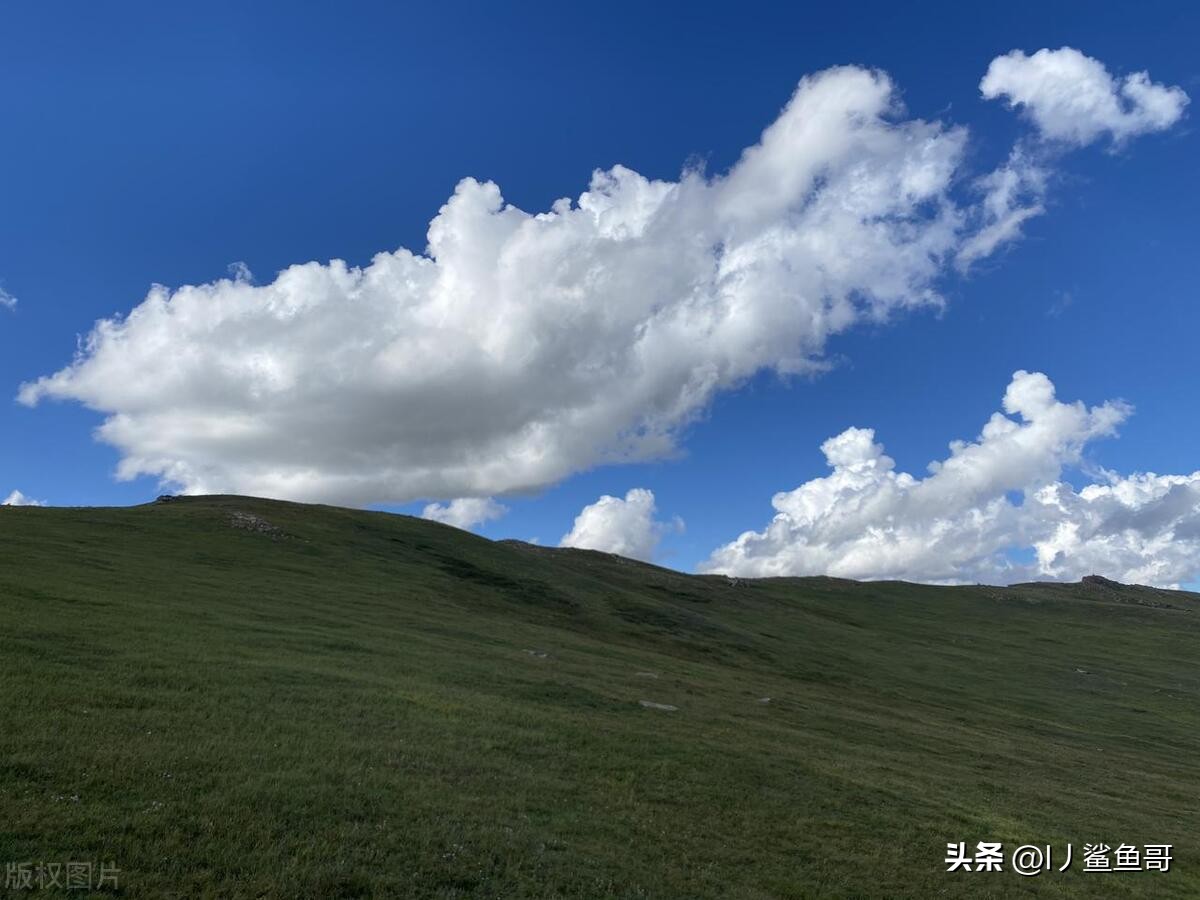 内蒙古包头市最美景点,包头市区旅游攻略必玩的景点