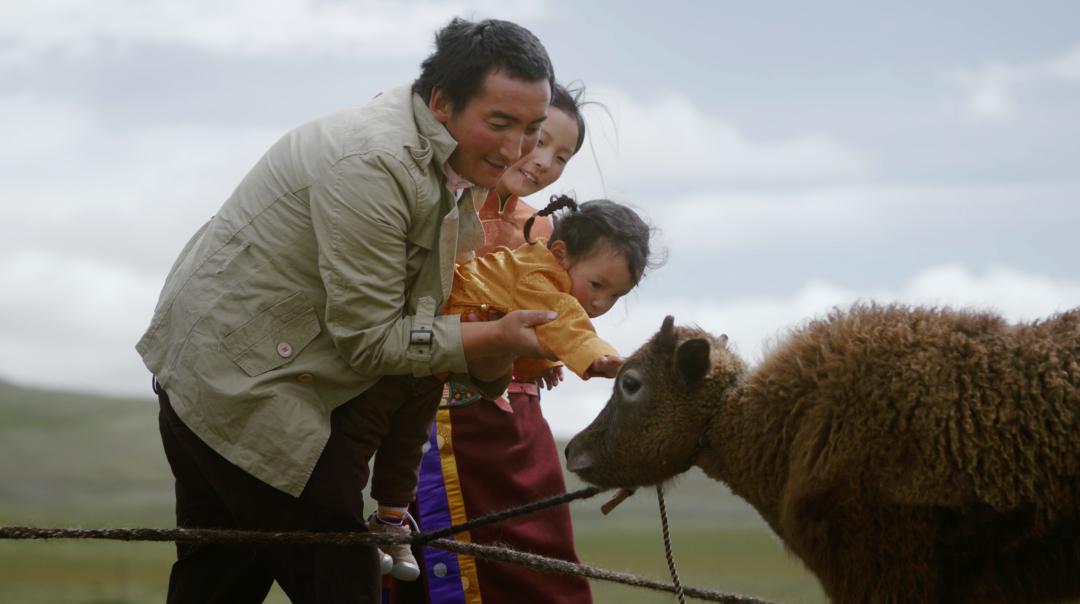 中国人冒死拍的纪录片,一群中国人冒死拍摄