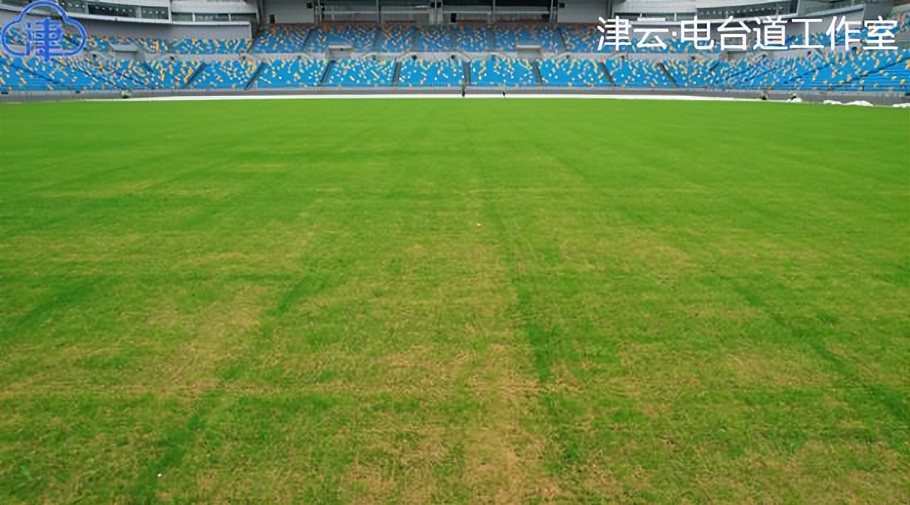 天津泰达足球场球场广播,津门虎泰达足球场