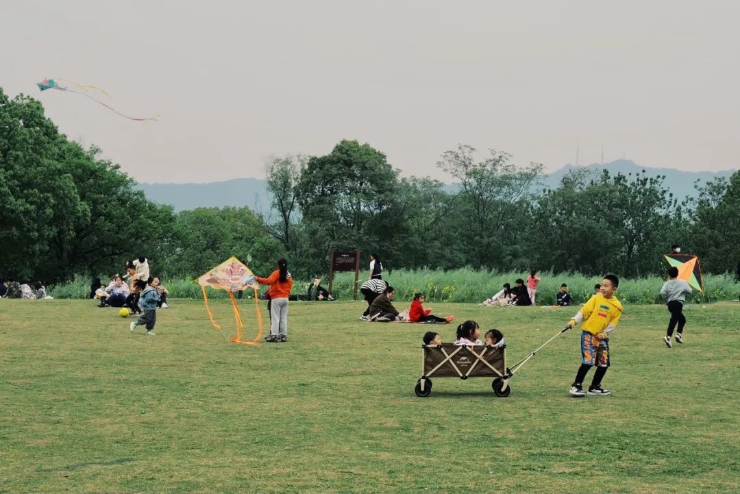 春天的潺潺溪水,春天的顶流
