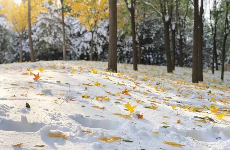 走进学校让心情愉悦,走进安静整洁的教室时我深感自豪