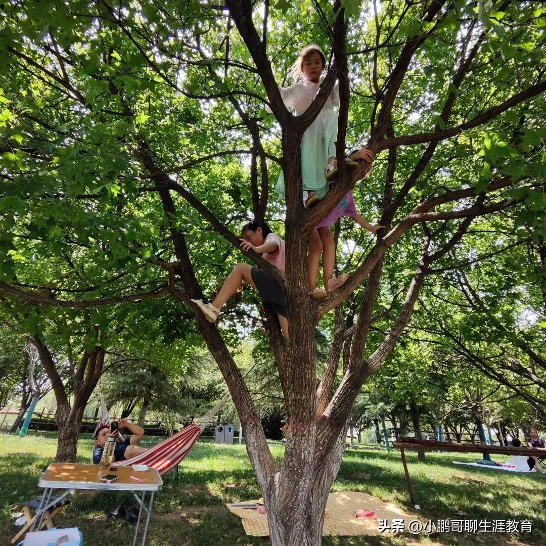 孩子进一年级之后的进步与成长,一年级孩子成长需要经历的问题