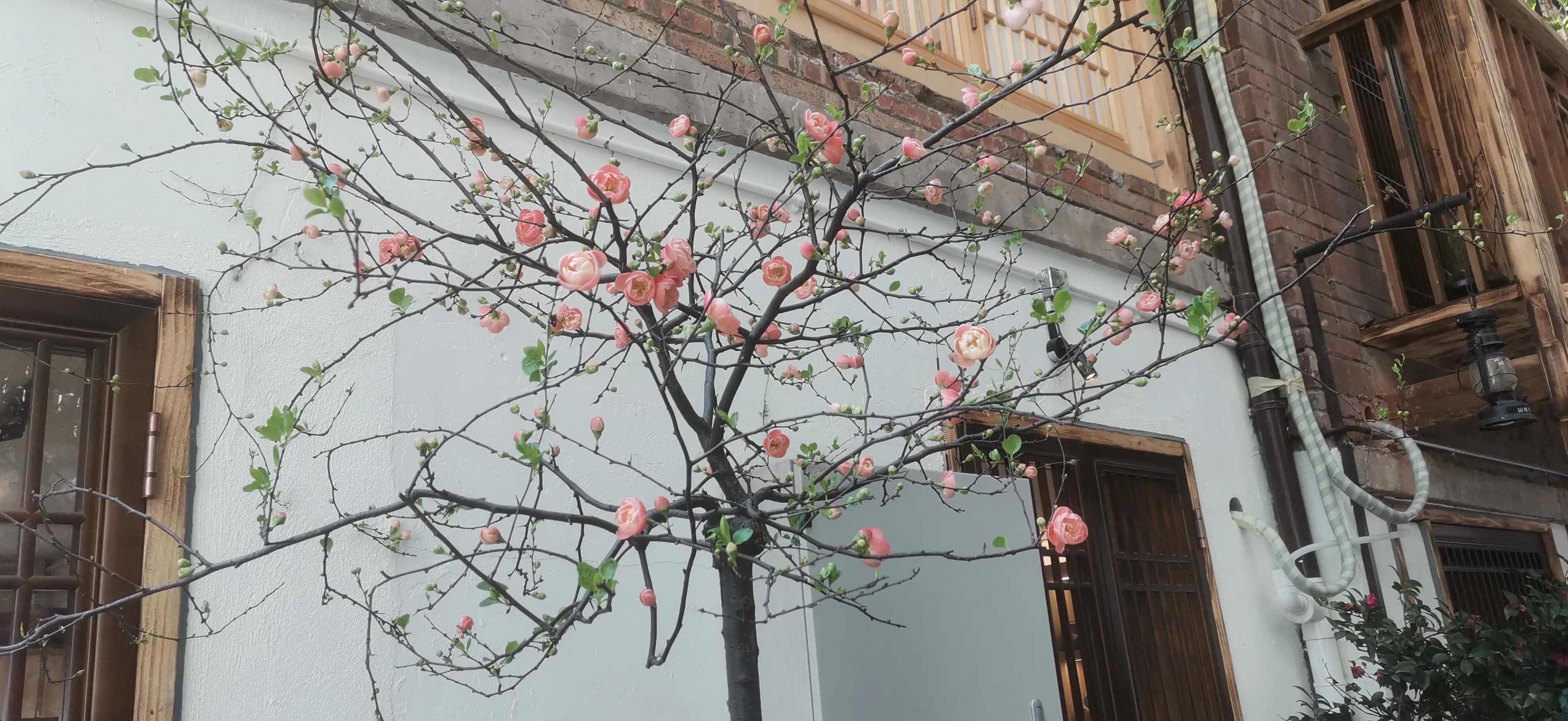 逛重庆车展,逛重庆