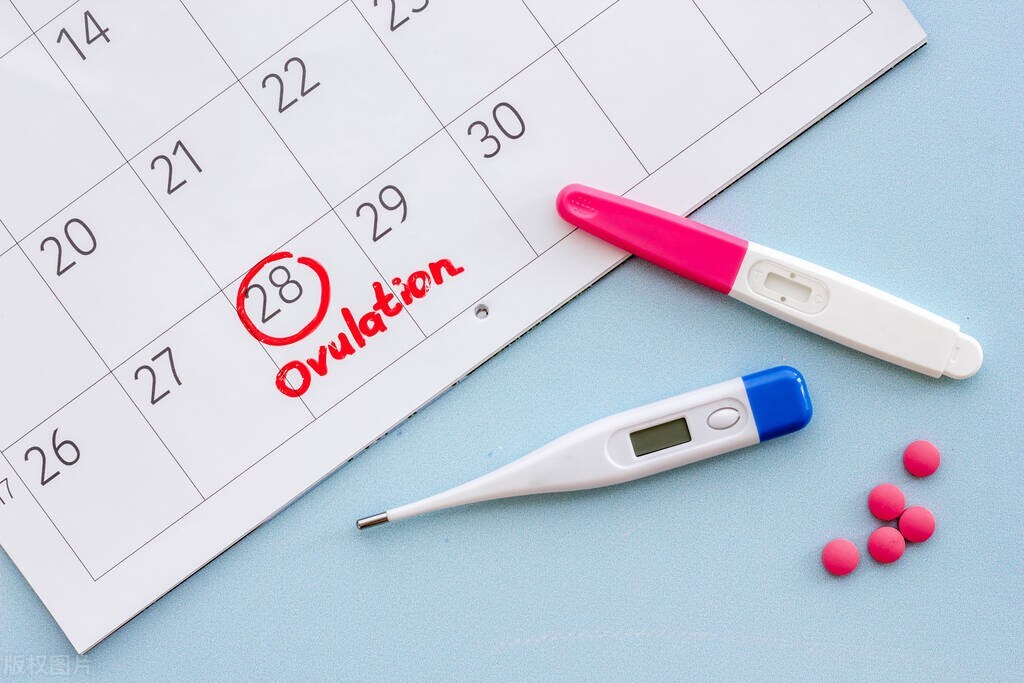 排卵期如何知道自己排卵了,如何正确的知道自己排卵