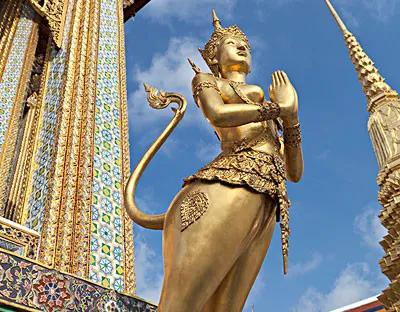 萨瓦迪卡,萨瓦迪卡是什么意思