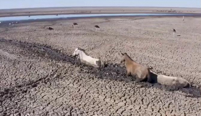 极端高温怎么解决啊,极端温度灾害主要有