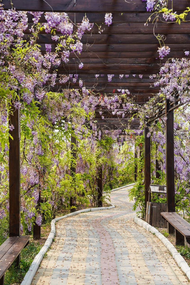 宿州两日游,安徽宿州一日游推荐