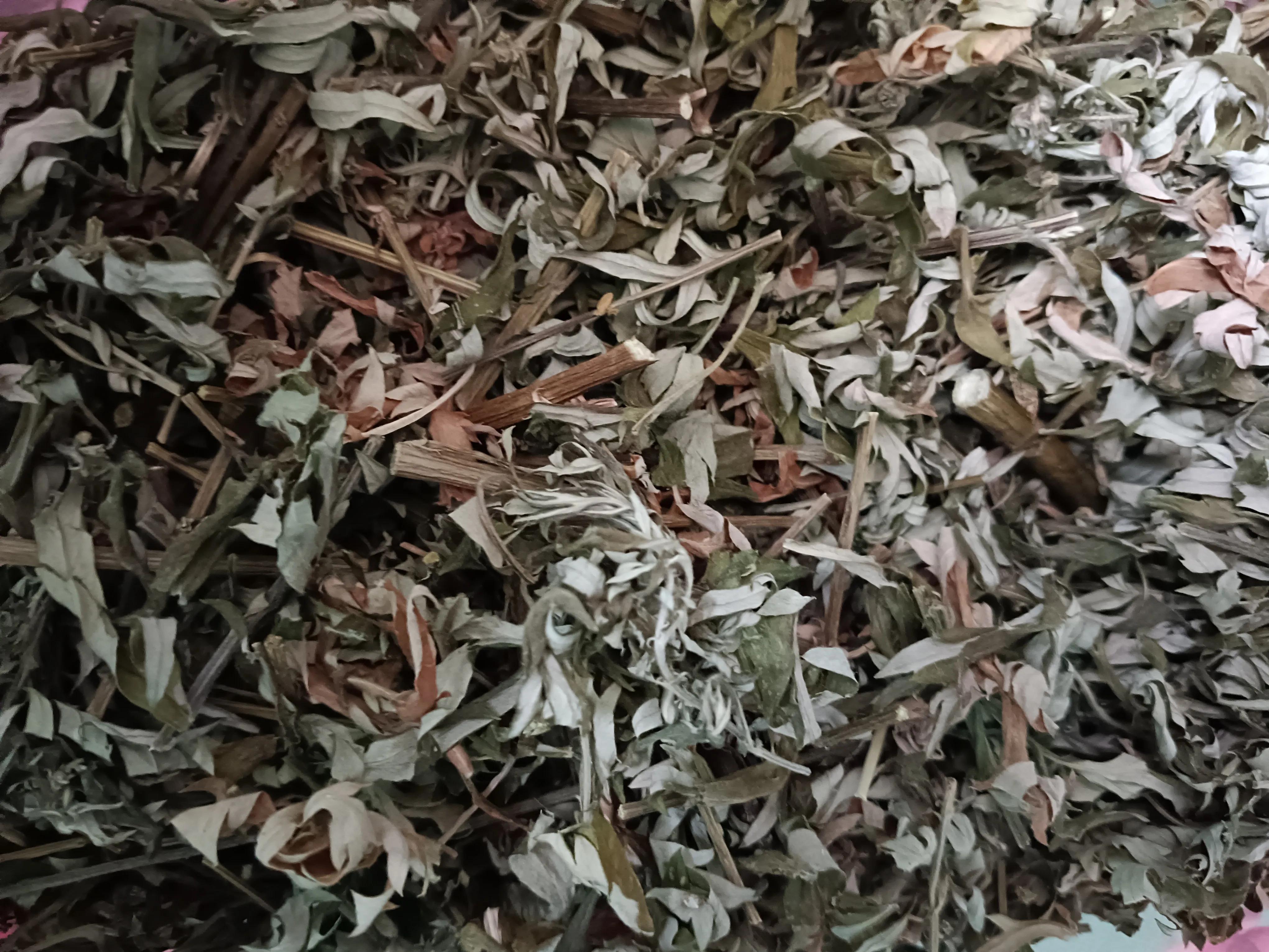 艾蒿可以长久用吗,艾蒿使用方法