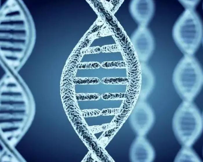 中医治肺癌名家与思路,中医治疗早期肺癌药方