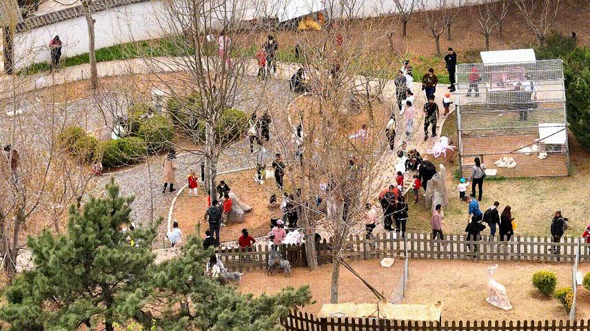 大连旅游畅游大连,玩转大连最全攻略