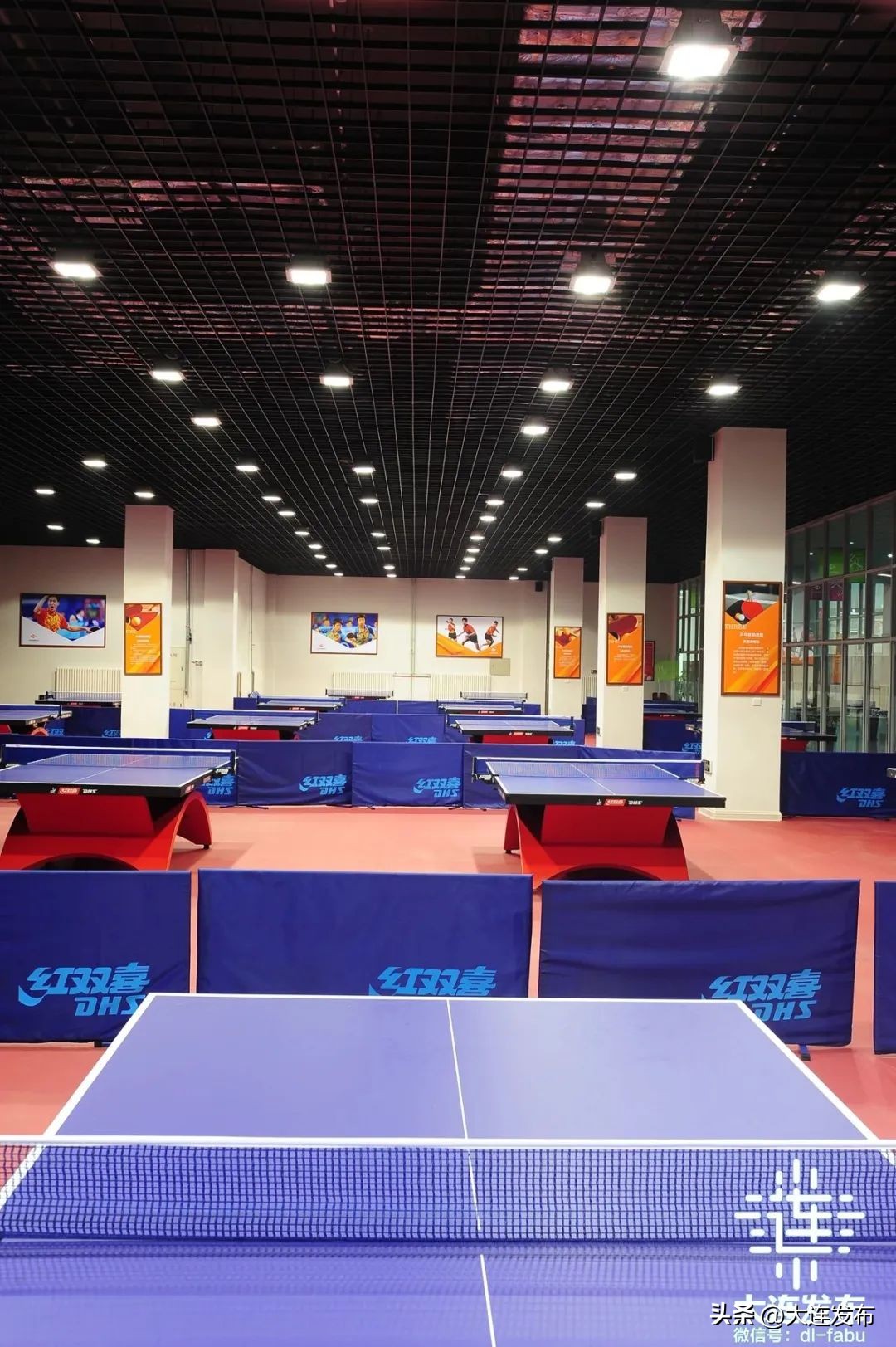 家门口室内新运动馆,家里的运动场地