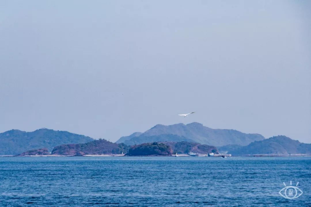 深圳最值得去的十个地方,深圳吃货必去的地方