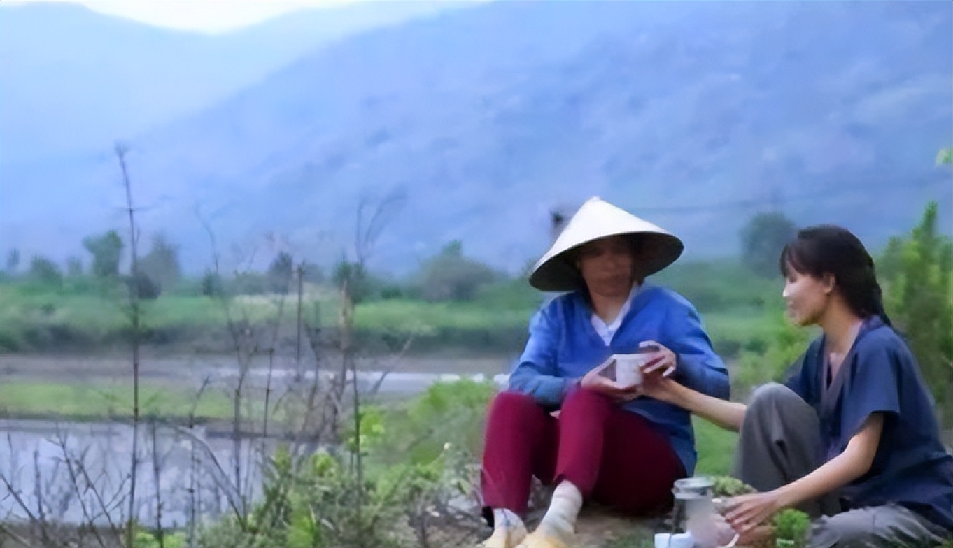 李子柒视频最新外网评论,李子柒最新视频外网评论