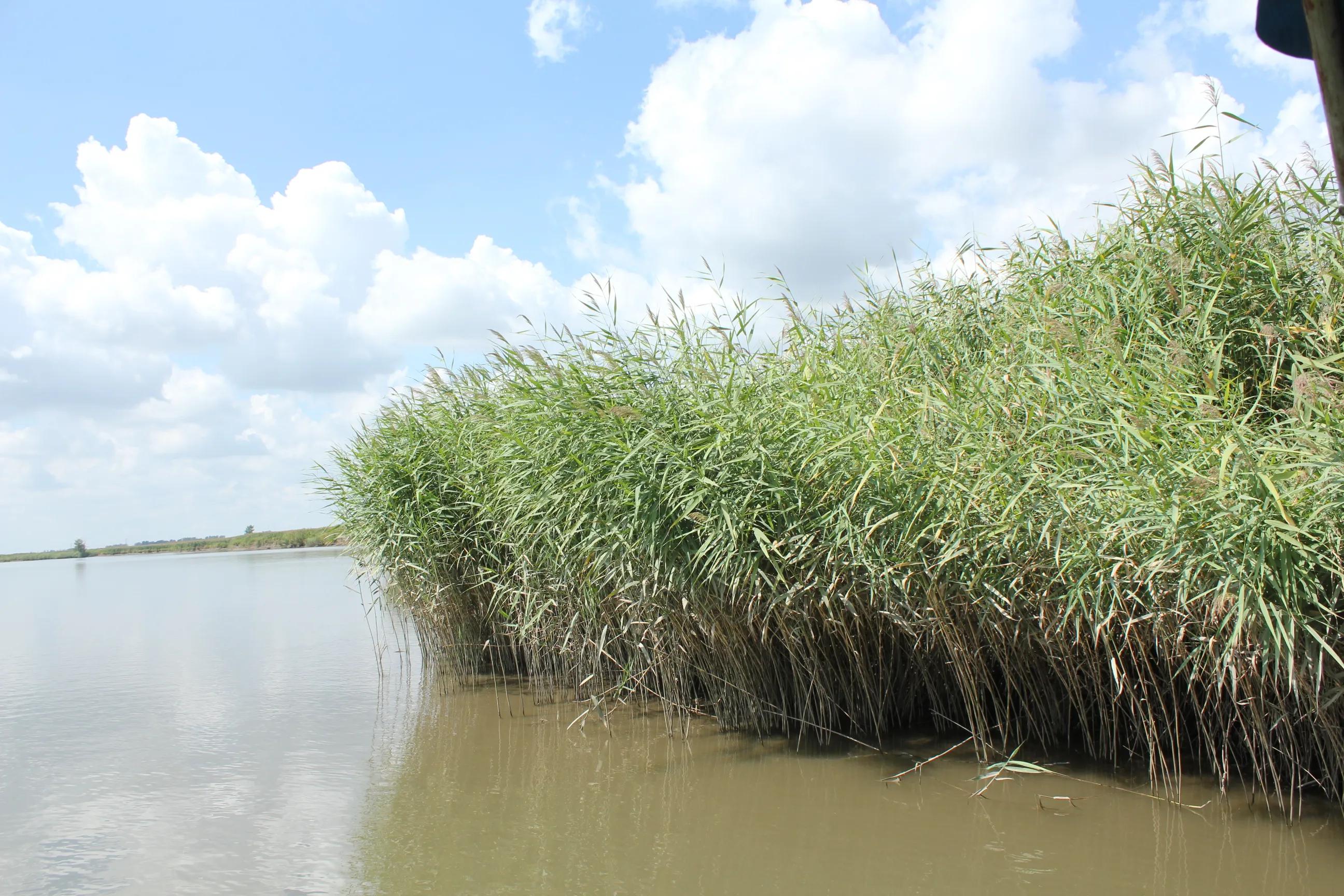 一湾碧水漾清波,一湾碧水潺潺