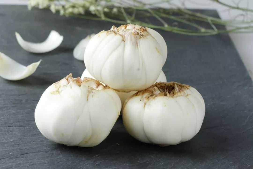 百合花花语大全唯美诗句,赞美百合花诗句经典名句